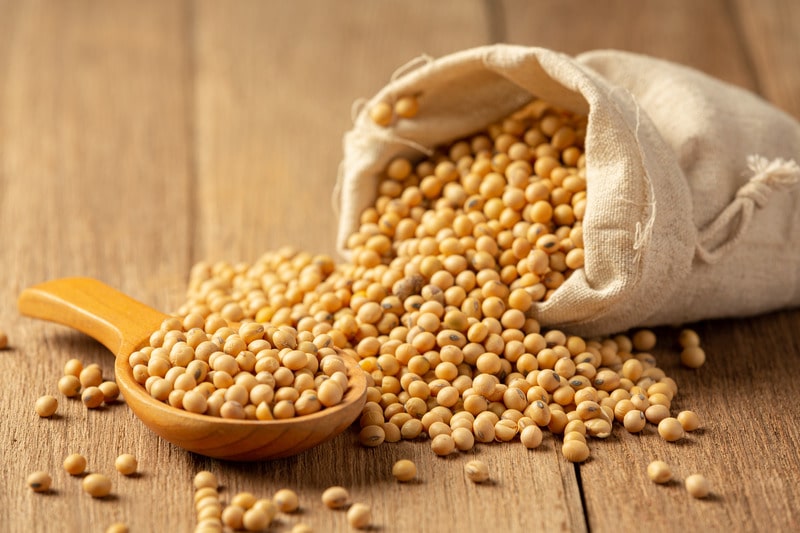 Soyabean Seeds