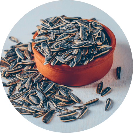 Sunflower Seeds